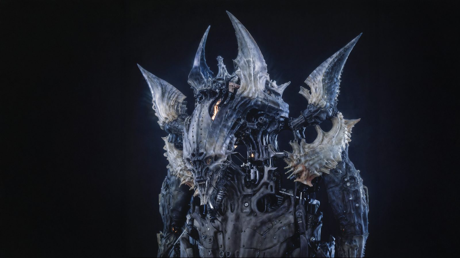 Biomech head candidate