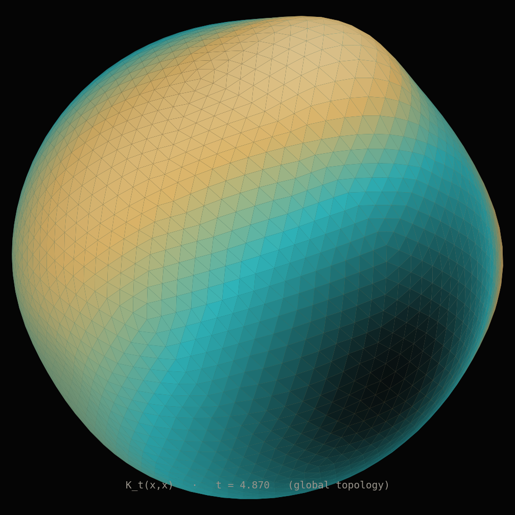 HKS at large diffusion time — global topology